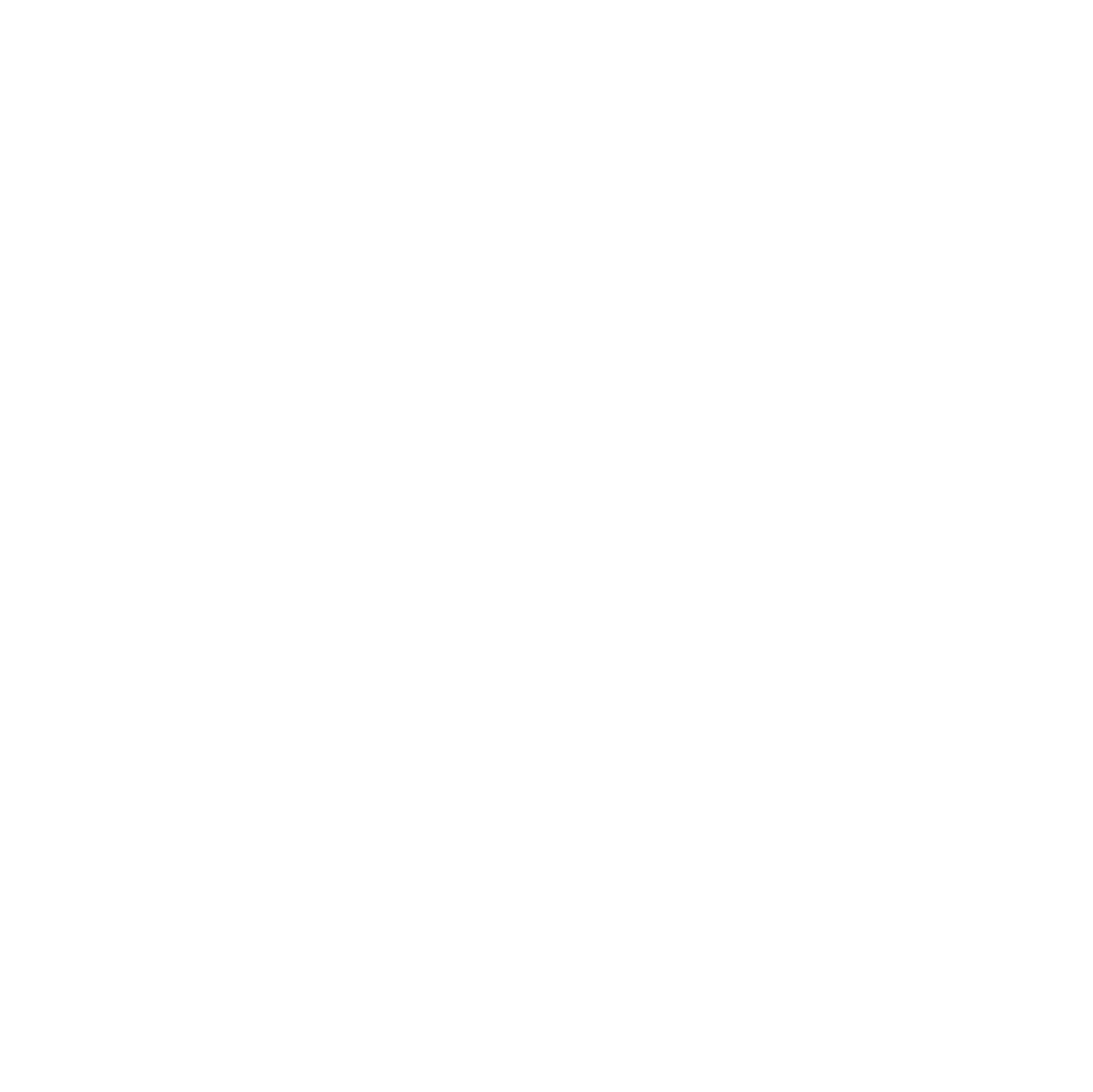 Crane Displays & Overload Systems icon